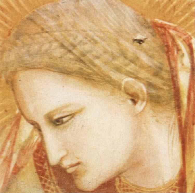 GIOTTO di Bondone Detail of Birth of Christ France oil painting art